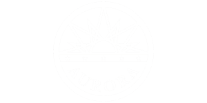 [image of City of Aurora logo]